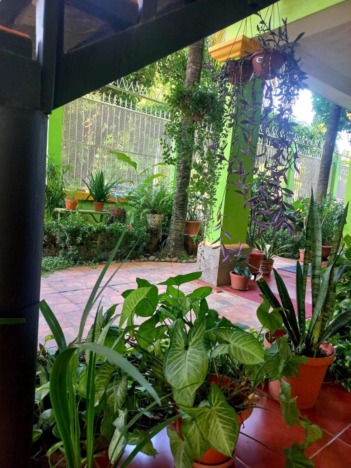 Hostal San Antonio León Esterno foto